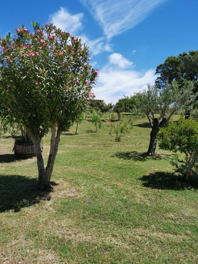 Home Garden ซินิสโกลา ภายนอก รูปภาพ
