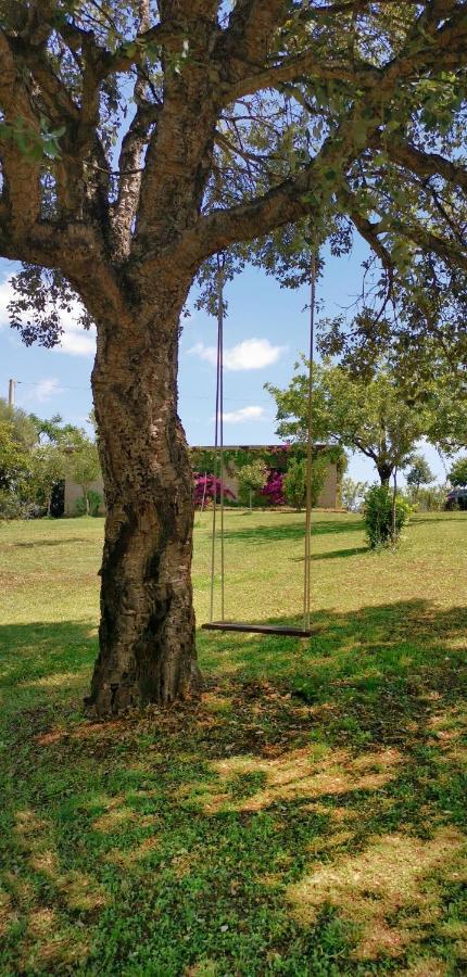 Home Garden ซินิสโกลา ภายนอก รูปภาพ