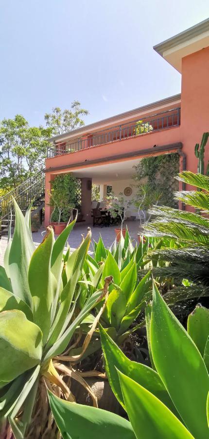 Home Garden ซินิสโกลา ภายนอก รูปภาพ