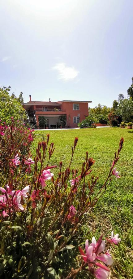 Home Garden ซินิสโกลา ภายนอก รูปภาพ